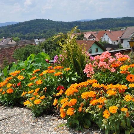 Gasthof Adler Guettingen Guttingen المظهر الخارجي الصورة