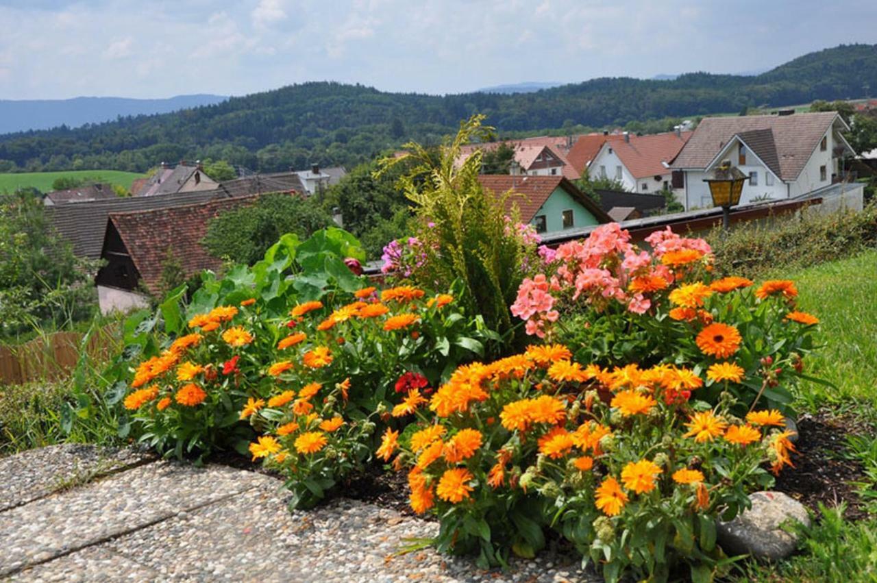 Gasthof Adler Guettingen Guttingen المظهر الخارجي الصورة